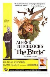 The Birds