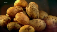 image Kartoffelgeschichten - Eine Knolle erobert die Welt