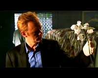 CSI: Miami > Entrance Wound