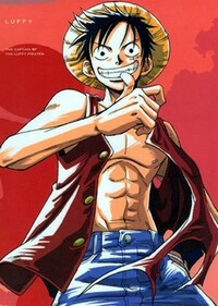 Imagen One Piece
