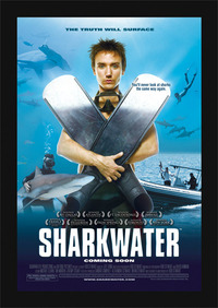 Bild Sharkwater