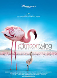Imagen The Crimson Wing: Mystery of the Flamingos