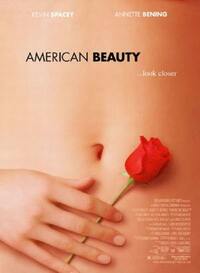 Bild American Beauty