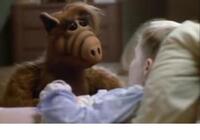 Alf > La Navidad especial de ALF (Parte 2)