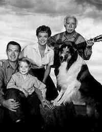 Imagen Lassie