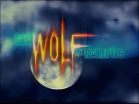 Bild Big Wolf on Campus