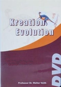 Bild Kreation - Evolution
