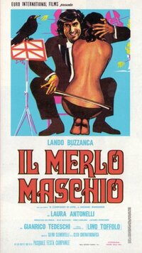 Bild Il merlo maschio