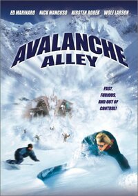 Bild Avalanche Alley