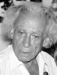 Bild Samuel Fuller