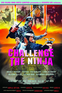 Imagen Challenge of the Ninja