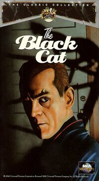 image The Black Cat