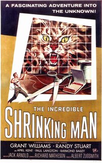 Bild The Incredible Shrinking Man