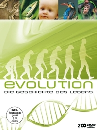 Bild Evolution