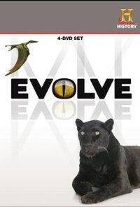 Imagen Evolve