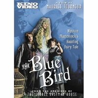 image The Blue Bird