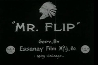 Bild Mr. Flip