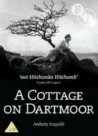 Bild A Cottage on Dartmoor