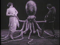 Imagen The Trail Of The Octopus