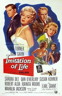 image Imitation of Life