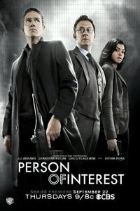 Bild Person of Interest