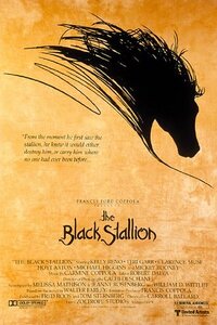 Bild The Black Stallion