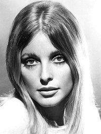 Bild Sharon Tate