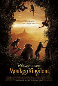 Bild Monkey Kingdom