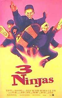 Bild 3 Ninjas