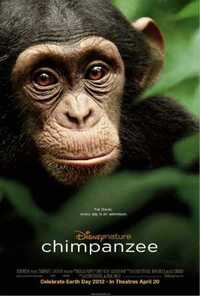 image Chimpanzee