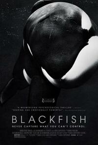 image Blackfish