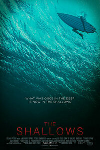 image The Shallows