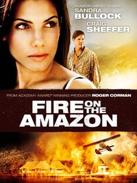 Imagen Fire on the Amazon