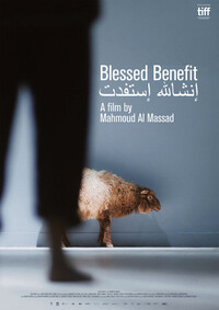 Imagen Blessed Benefit