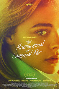 image The Miseducation of Cameron Post