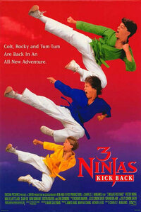 image 3 Ninjas Kick Back