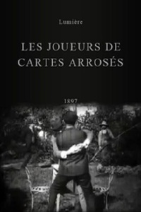 image Les joueurs de cartes arrosés