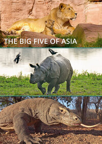 Bild Big Five Asien