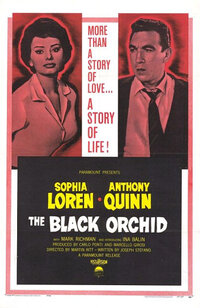 image The Black Orchid