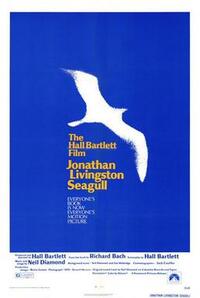 Bild Jonathan Livingston Seagull