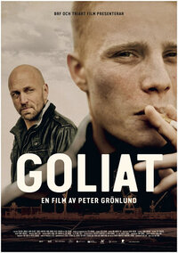 Bild Goliat