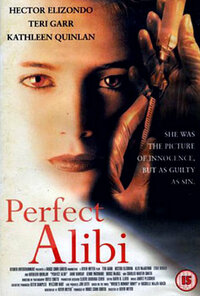 image Perfect Alibi