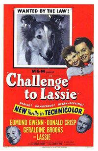 Imagen Challenge to Lassie