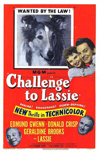 image Challenge to Lassie