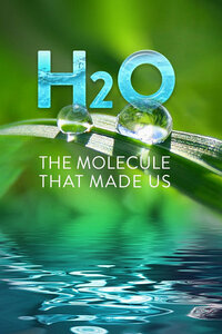 Bild H2O: The Molecule That Made Us