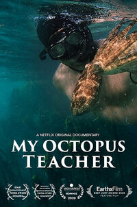 Bild My Octopus Teacher
