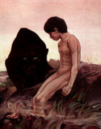 image Mowgli