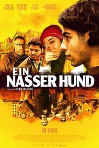 image Ein nasser Hund