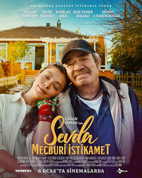 Imagen Sevda Mecburi İstikamet