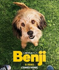 Imagen Benji